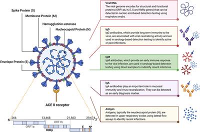 COVID-19 in-vitro Diagnostics: State-of-the-Art and Challenges for Rapid, Scalable, and High-Accuracy Screening